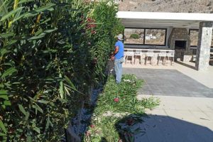 att.-2Kqy531ClSGdzd59PfTqcRolTf77Mjx3UU_Ga8jzEw