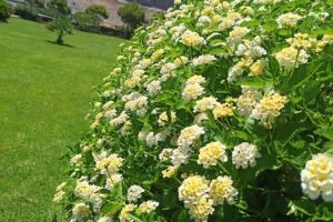 att.2iN2Zk-K69wO-00IrMgVj8rfbOiGXPtCehO-CBtPn-o