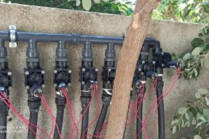 att.CYnHoOu9hZ1xIGGrBboJcT60GmYcZd5I5IpU189TSBY