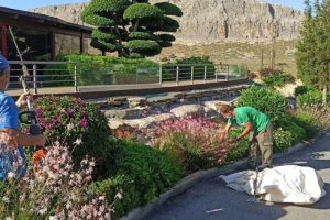 att.EC8pGlPztY66tIGAZiZ3FOrvO5ZviApnKiUjx0db06k