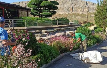 Η εξειδικευμένη γνώση πάνω στα φυτά, στο χλοοτάπητα, στα αρδευτικά συστήματα, στα λιπάσματα και στη φυτοπροστασία, εγγυάται την ποιότητα και αισθητική του χώρου πρασίνου σας.