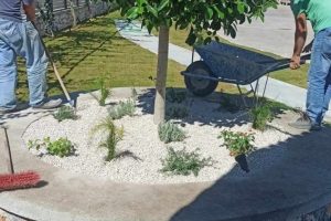 att.ETPr3NIFr9tjKn6rhCmwZ_3XXnL4DvkpXsMbpShiIzc