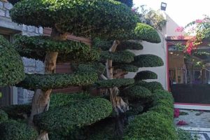 att.ETeRcz9Ek6qSIINJsYdj8uEWJI_Eh93A1ZrMZJ1fycI