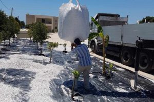 att.FVJsBAXi8SY6eoWveif_En_amLa1BtC7JiJmCFPGFaY