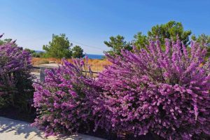 att.F_SmzirHsTwVJAAfoNw8lWEwfUXKAuRHfh6U8sEU7mY