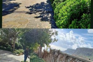 att.HNWxkplJwW6rss7zrFSQVn5zrmY_m1XDh-aih8e9who