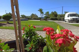 att.I6qorqGGV3xVBx3Wu0uGstHYMtAi-tsedyjROlwiGcU