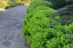 att.Q4bILzw79rNiFCYetbKyg8NN_mYgd0AF9hXkFPGAN-Y