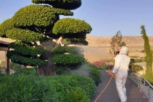 att.RH-62cYEFYyt-N-Xv3vOKTrC7tlkSxwmF28qlU3rCZk