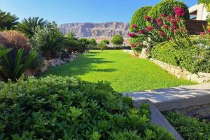 att.V8oVqFIn1LYhlBRNu_ylKbnGE3R9Ea0wBs0uuZ_Lq2E