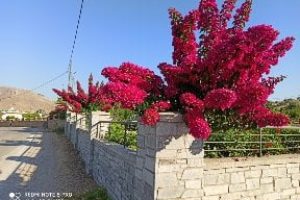 att.ZanF89yCNbPx22C_X8E0kQtqaeeDaA2vGKgpUqWkixk