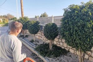 att.fMvieu0rBm09o5jydU-sTCmkA4ueBIN0b8ZRpruK2-E