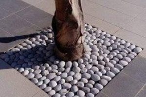 att.n5XBOSI24Vebv-_pVheAHQ4Fxvn2HwgUlz47qukl39g