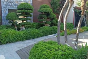 att.oqTNSwYPaQ1Fg62UYCyoDma0B8IQIhy8BWuZcJkn8JA