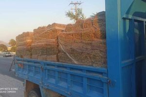 att.s2iEWCYfWTpiI6UKEU1j0SiELhDFHoX-ORNzayvyMtQ