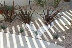 att.wvAOLsAfXXX3mrYmF4OpZiCAm7HgUgop2_sQ2h0yU2I